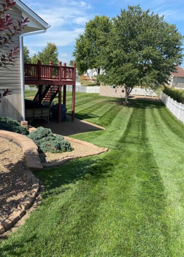 Competitive Cuts Lawn Care Services