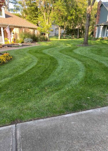 Competitive Cuts Lawn Care Services