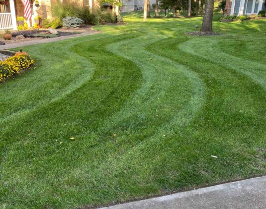 Competitive Cuts Lawn Care Services