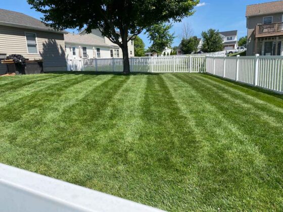 Competitive Cuts Mowing - Straight Lawn Lines